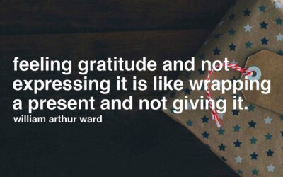 Words of Gratitude (#17) for Steve Boese