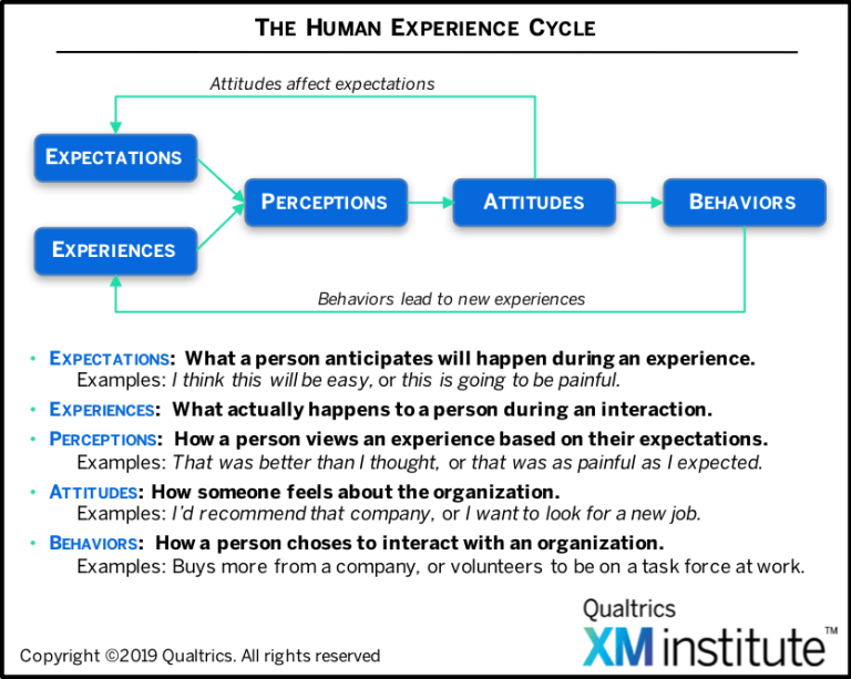 Experience текст. Human experience. In experiences. Правило experience expectation. Expectation and Perception of Consumers.